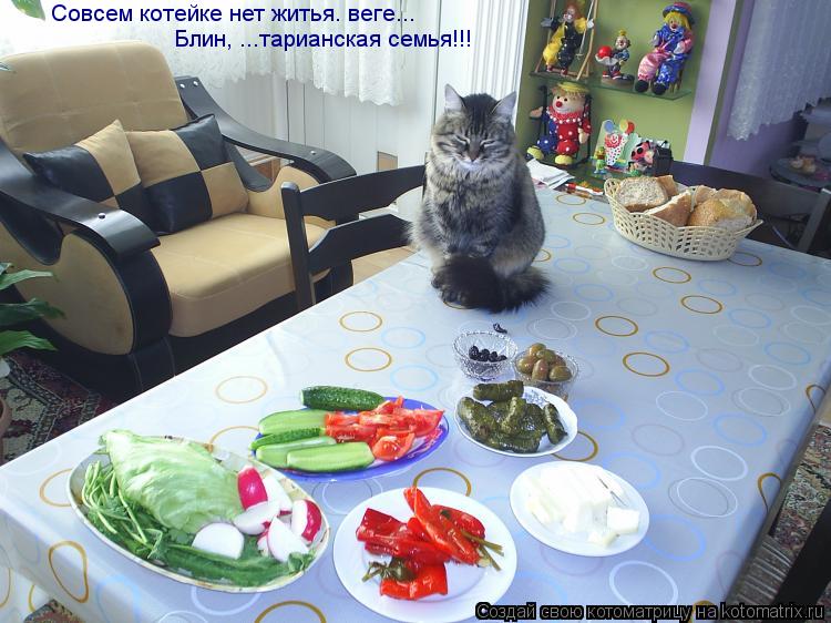 Совсем котейке нет житья. веге... Блин, ...тарианская семья!!!... Котоматрица: Совсем котейке нет житья. веге... Блин, ...тарианская семья!!!