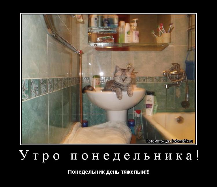 Утро понедельника! Понедельник день тяжелый!!!... Котоматрица: Утро понедельника! Понедельник день тяжелый!!!