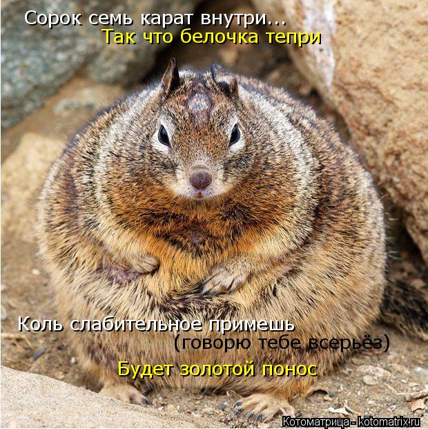Сорок семь карат внутри... Так что белочка тепри Коль слабительное примешь (говорю тебе всерьёз) Буде... Котоматрица: Сорок семь карат внутри... Так что белочка тепри Коль слабительное примешь (говорю тебе всерьёз) Будет золотой понос