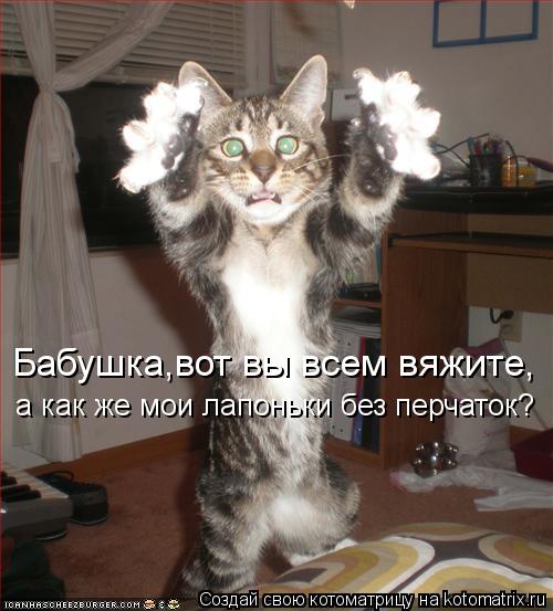 Бабушка,вот вы всем вяжите, а как же мои лапоньки без перчаток?... Котоматрица: Бабушка,вот вы всем вяжите, а как же мои лапоньки без перчаток?
