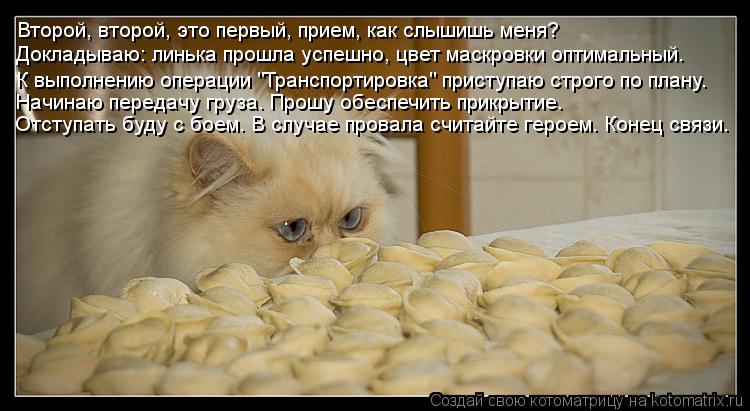 Второй, второй, это первый, прием, как слышишь меня? Докладываю: линька прошла успешно, цвет маскровк... Котоматрица: Второй, второй, это первый, прием, как слышишь меня? Докладываю: линька прошла успешно, цвет маскровки оптимальный. К выполнению операции "Тр