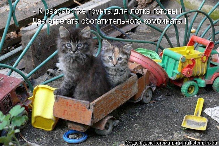 - К разработке грунта для лотка готовы ! Два агрегата обогатительного комбината !... Котоматрица: - К разработке грунта для лотка готовы ! Два агрегата обогатительного комбината !