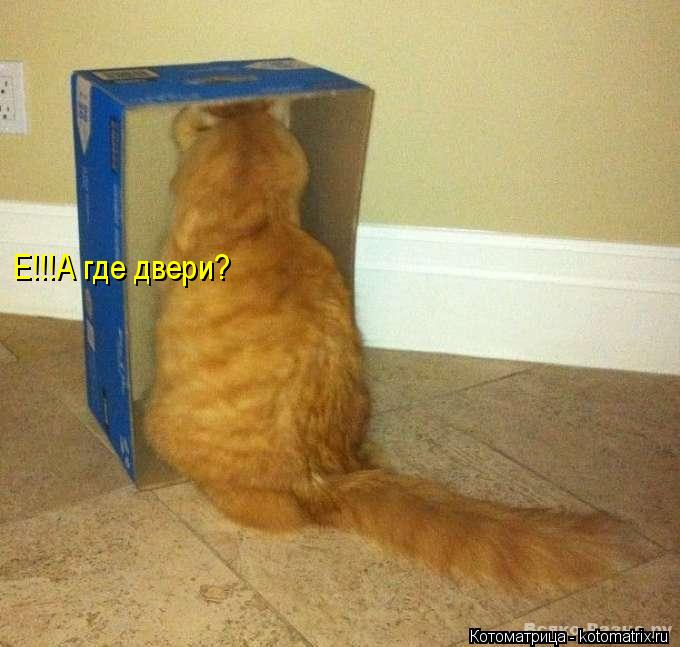 Е!!!А где двери?... Котоматрица: Е!!!А где двери?