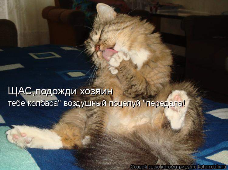 ЩАС,подожди хозяин тебе колбаса" воздушный поцелуй "передала!... Котоматрица: ЩАС,подожди хозяин тебе колбаса" воздушный поцелуй "передала!