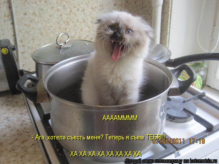 - Ага, хотела съесть меня? Теперь я съем ТЕБЯ!!! ХА ХА ХА ХА ХА ХА ХА ХА ХА ХА ХА ХА ХА ХА ХА ХА ХА... Котоматрица: - Ага, хотела съесть меня? Теперь я съем ТЕБЯ!!! ХА ХА ХА ХА ХА ХА ХА ХА ХА ХА ХА ХА ХА ХА ХА ХА ХА ХА ХА ХА ХА ХА ХА ХА ААААММММ