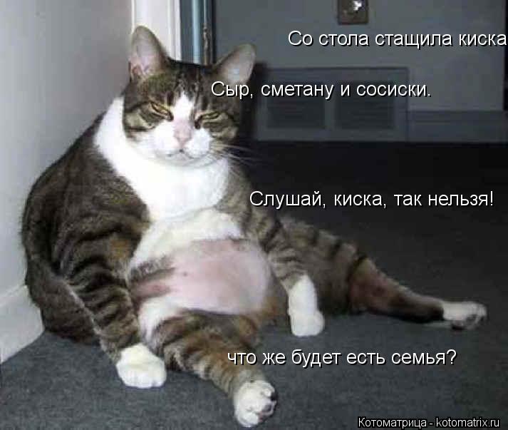 Со стола стащила киска Сыр, сметану и сосиски. Слушай, киска, так нельзя! что же будет есть семья?... Котоматрица: Со стола стащила киска Сыр, сметану и сосиски. Слушай, киска, так нельзя! что же будет есть семья?