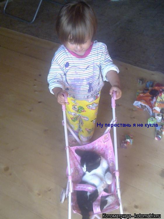 Ну перестань я не кукла... Котоматрица: Ну перестань я не кукла