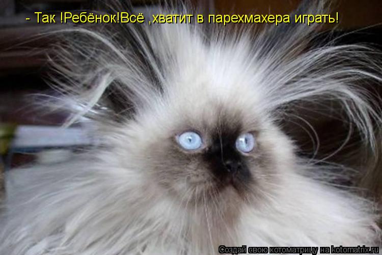 - Так !Ребёнок!Всё ,хватит в парехмахера играть!... Котоматрица: - Так !Ребёнок!Всё ,хватит в парехмахера играть!