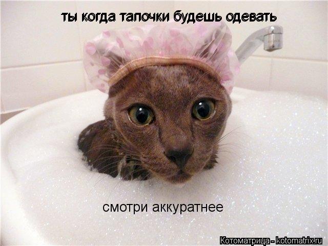 ты когда тапочки будешь одевать ты когда тапочки будешь одевать смотри аккуратнее... Котоматрица: ты когда тапочки будешь одевать ты когда тапочки будешь одевать смотри аккуратнее