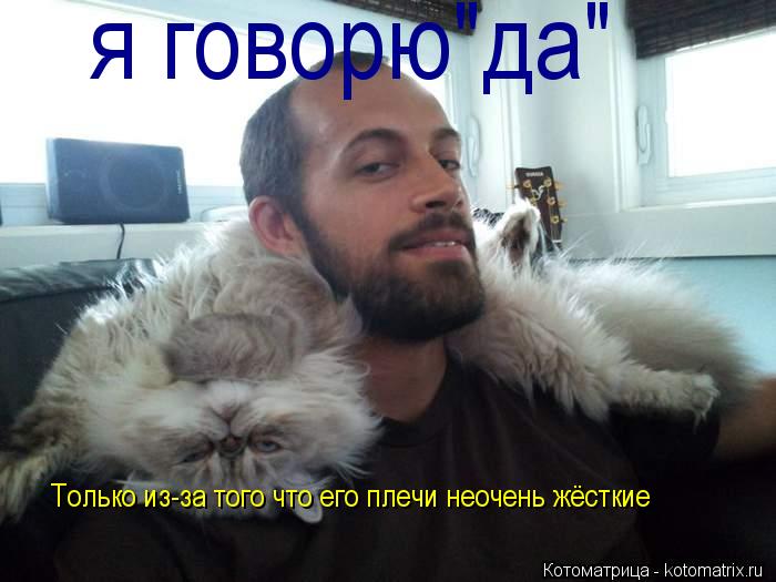 я говорю"да" Только из-за того что его плечи неочень жёсткие... Котоматрица: я говорю"да" Только из-за того что его плечи неочень жёсткие