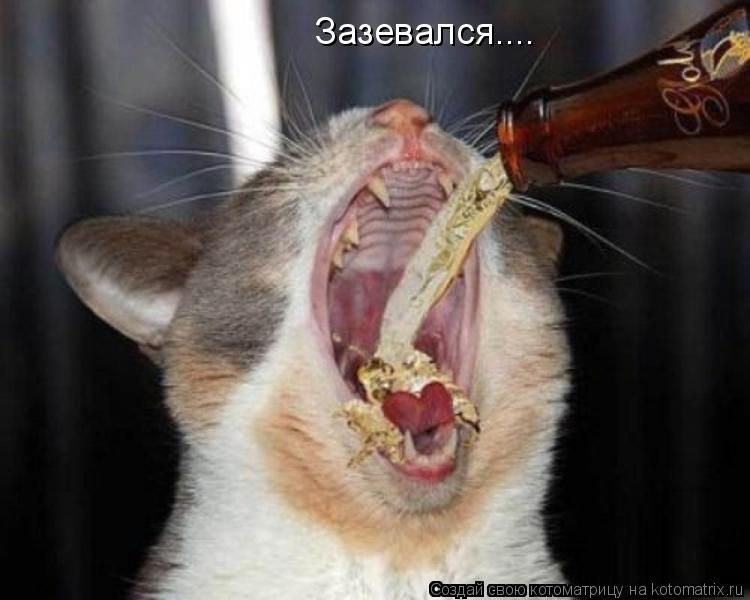 Зазевался....... Котоматрица: Зазевался....