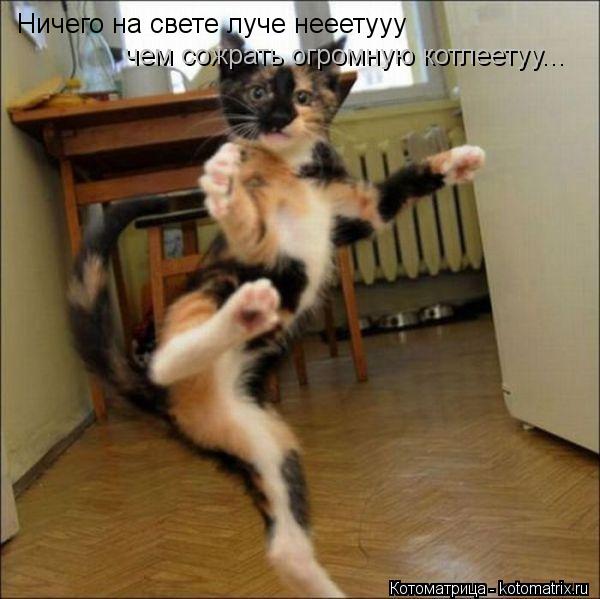 Ничего на свете луче нееетууу чем сожрать огромную котлеетуу...... Котоматрица: Ничего на свете луче нееетууу чем сожрать огромную котлеетуу...