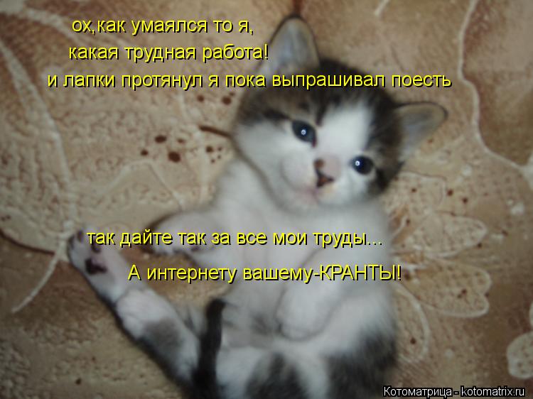 ох,как умаялся то я, какая трудная работа! и лапки протянул я пока выпрашивал поесть так дайте так за... Котоматрица: ох,как умаялся то я, какая трудная работа! и лапки протянул я пока выпрашивал поесть так дайте так за все мои труды... А интернету вашему-КРАН