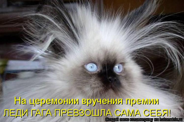 На церемонии вручения премии ЛЕДИ ГАГА ПРЕВЗОШЛА САМА СЕБЯ!... Котоматрица: На церемонии вручения премии ЛЕДИ ГАГА ПРЕВЗОШЛА САМА СЕБЯ!