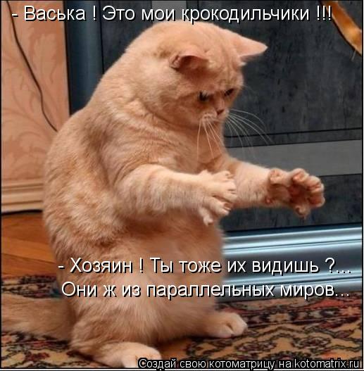 - Васька ! Это мои крокодильчики !!! - Хозяин ! Ты тоже их видишь ?... Они ж из параллельных миров...... Котоматрица: - Васька ! Это мои крокодильчики !!! - Хозяин ! Ты тоже их видишь ?... Они ж из параллельных миров...