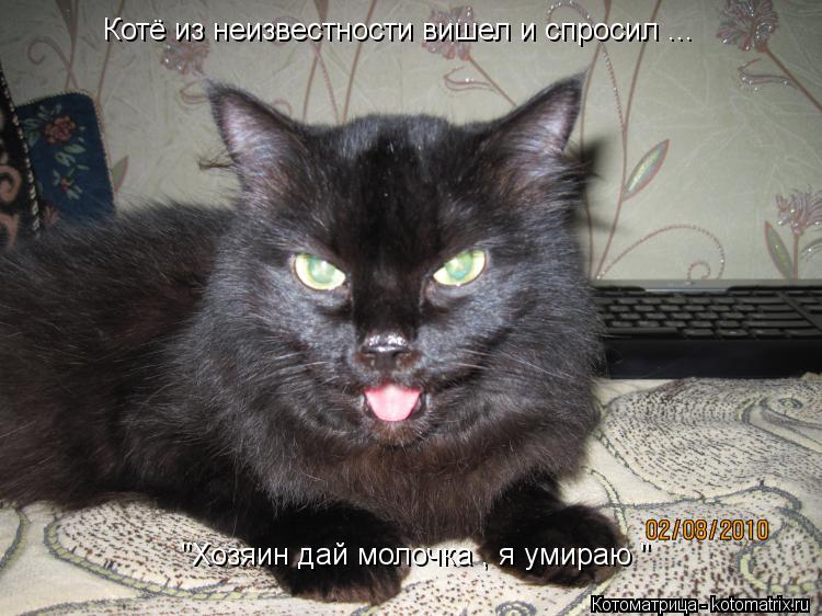 Котё из неизвестности вишел и спросил ... "Хозяин дай молочка , я умираю "... Котоматрица: Котё из неизвестности вишел и спросил ... "Хозяин дай молочка , я умираю "