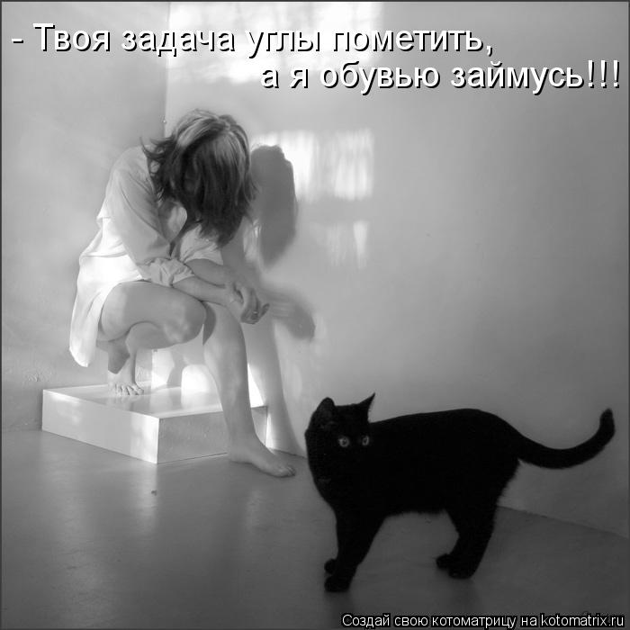 - Твоя задача углы пометить, а я обувью займусь!!!... Котоматрица: - Твоя задача углы пометить, а я обувью займусь!!!