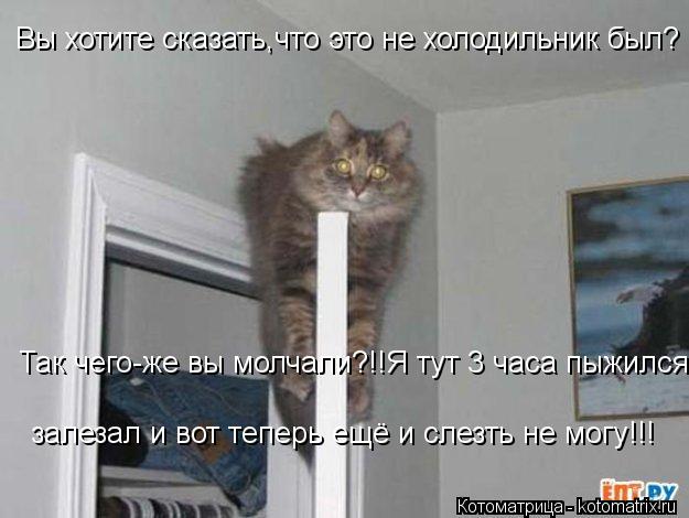 Вы хотите сказать,что это не холодильник был? Так чего-же вы молчали?!!Я тут 3 часа пыжился, залезал ... Котоматрица: Вы хотите сказать,что это не холодильник был? Так чего-же вы молчали?!!Я тут 3 часа пыжился, залезал и вот теперь ещё и слезть не могу!!!