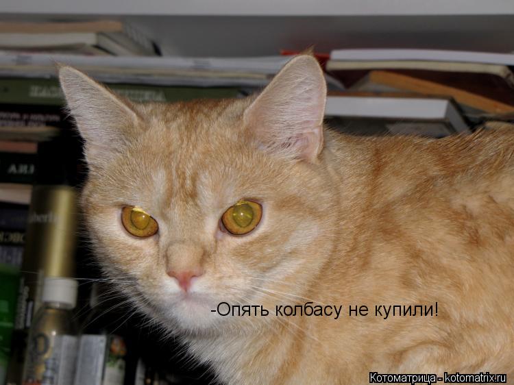 -Опять колбасу не купили!... Котоматрица: -Опять колбасу не купили!