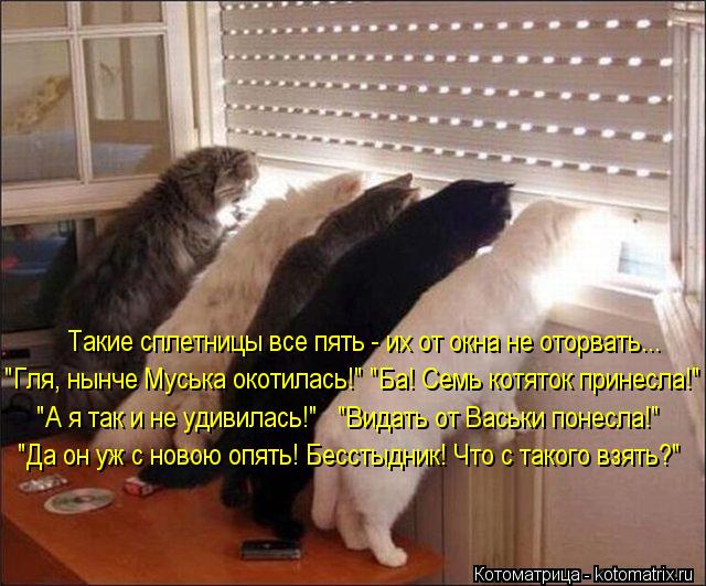 Такие сплетницы все пять - их от окна не оторвать... "Гля, нынче Муська окотилась!" "Ба! Семь котяток... Котоматрица: Такие сплетницы все пять - их от окна не оторвать... "Гля, нынче Муська окотилась!" "Ба! Семь котяток принесла!" "А я так и не удивилась!" "Видать