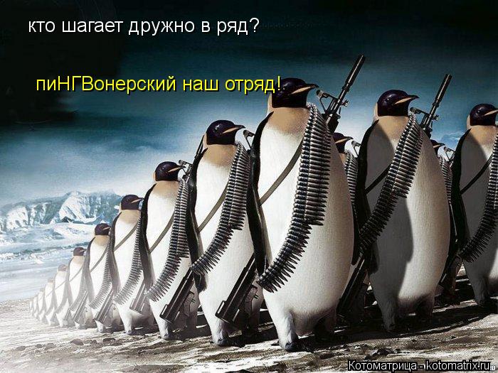 кто шагает дружно в ряд? пиНГВонерский наш отряд!... Котоматрица: кто шагает дружно в ряд? пиНГВонерский наш отряд!