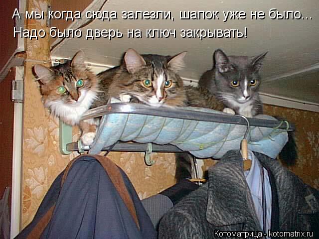 А мы когда сюда залезли, шапок уже не было... Надо было дверь на ключ закрывать!... Котоматрица: А мы когда сюда залезли, шапок уже не было... Надо было дверь на ключ закрывать!