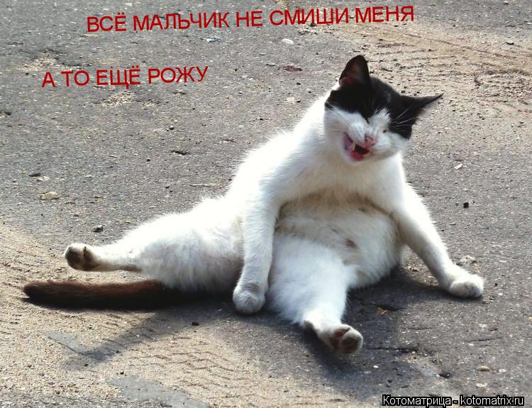ВСЁ МАЛЬЧИК НЕ СМИШИ МЕНЯ ВСЁ МАЛЬЧИК НЕ СМИШИ МЕНЯ А ТО ЕЩЁ РОЖУ... Котоматрица: ВСЁ МАЛЬЧИК НЕ СМИШИ МЕНЯ ВСЁ МАЛЬЧИК НЕ СМИШИ МЕНЯ А ТО ЕЩЁ РОЖУ