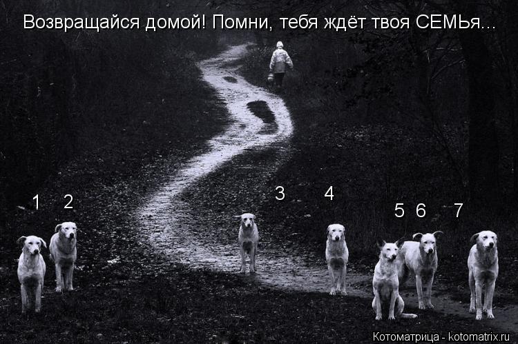 1 2 3 4 5 6 7 Возвращайся домой! Помни, тебя ждёт твоя СЕМЬя...... Котоматрица: 1 2 3 4 5 6 7 Возвращайся домой! Помни, тебя ждёт твоя СЕМЬя...