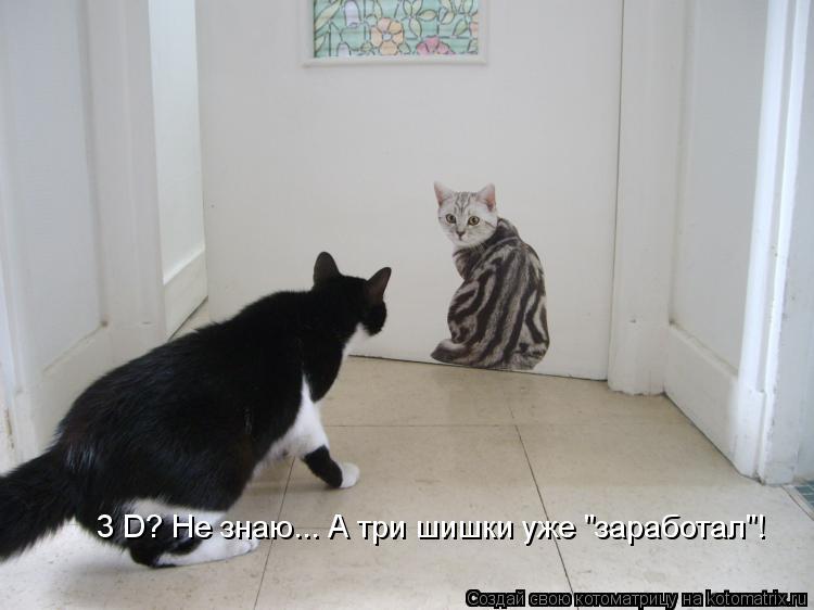 3 D? Не знаю... А три шишки уже "заработал"!... Котоматрица: 3 D? Не знаю... А три шишки уже "заработал"!