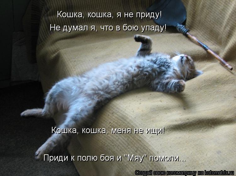 Кошка, кошка, я не приду! Не думал я, что в бою упаду! Кошка, кошка, меня не ищи! Приди к полю боя и ... Котоматрица: Кошка, кошка, я не приду! Не думал я, что в бою упаду! Кошка, кошка, меня не ищи! Приди к полю боя и "Мяу" помоли...