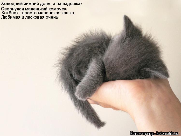 Холодный зимний день, а на ладошках Свернулся маленький комочек- Котёнок - просто маленькая кошка- ... Котоматрица: Холодный зимний день, а на ладошках Свернулся маленький комочек- Котёнок - просто маленькая кошка- Любимая и ласковая очень.