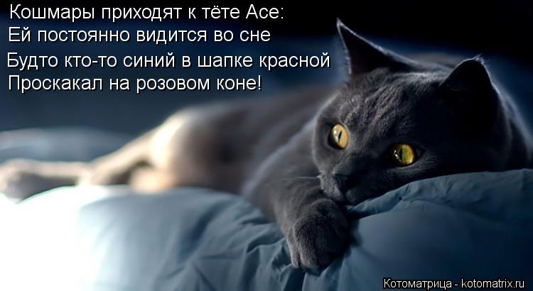 Кошмары приходят к тёте Асе: Ей постоянно видится во сне Будто кто-то синий в шапке красной Проскакал... Котоматрица: Кошмары приходят к тёте Асе: Ей постоянно видится во сне Будто кто-то синий в шапке красной Проскакал на розовом коне!