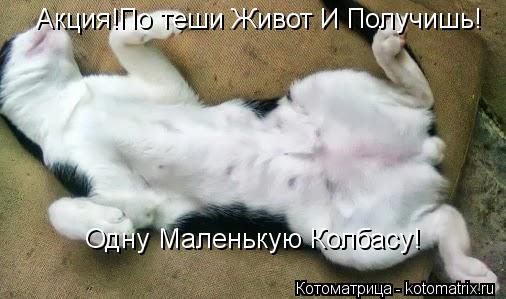 Акция!По теши Живот И Получишь! Одну Маленькую Колбасу!... Котоматрица: Акция!По теши Живот И Получишь! Одну Маленькую Колбасу!