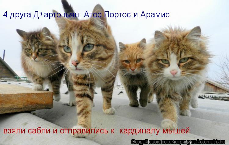 4 друга Д артоньян Атос Портос и Арамис , взяли сабли и отправились к кардиналу мышей... Котоматрица: 4 друга Д артоньян Атос Портос и Арамис , взяли сабли и отправились к кардиналу мышей