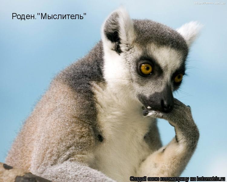 Роден."Мыслитель"... Котоматрица: Роден."Мыслитель"