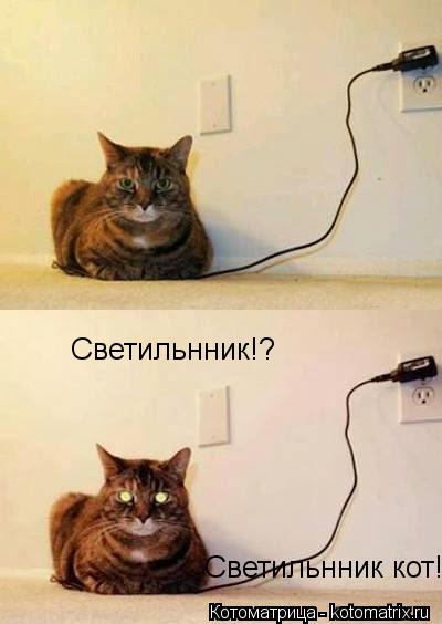Светильнник!? Светильнник кот!... Котоматрица: Светильнник!? Светильнник кот!