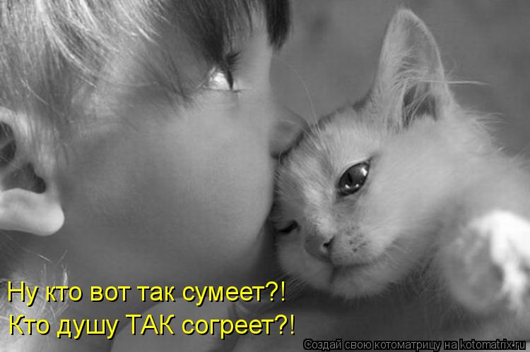 Ну кто вот так сумеет?! Кто душу ТАК согреет?!... Котоматрица: Ну кто вот так сумеет?! Кто душу ТАК согреет?!