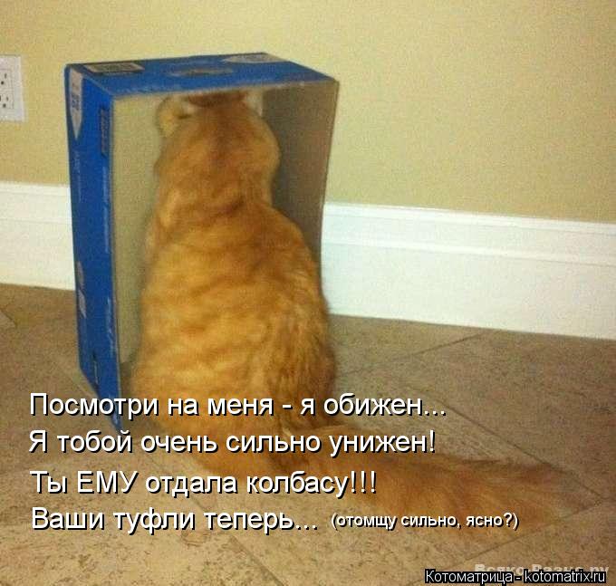 Посмотри на меня - я обижен... Я тобой очень сильно унижен! Ты ЕМУ отдала колбасу!!! Ваши туфли тепер... Котоматрица: Посмотри на меня - я обижен... Я тобой очень сильно унижен! Ты ЕМУ отдала колбасу!!! Ваши туфли теперь... (отомщу сильно, ясно?)