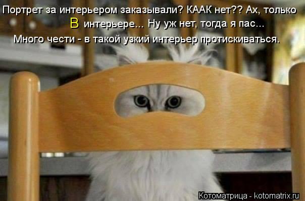 Портрет за интерьером заказывали? КААК нет?? Ах, только интерьере... В Ну уж нет, тогда я пас... Мног... Котоматрица: Портрет за интерьером заказывали? КААК нет?? Ах, только интерьере... В Ну уж нет, тогда я пас... Много чести - в такой узкий интерьер протискиват
