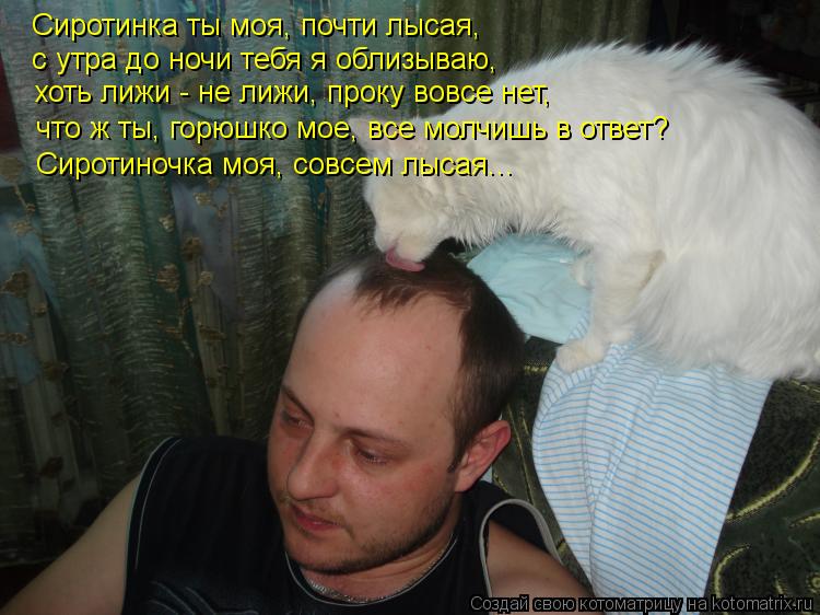 Сиротинка ты моя, почти лысая, с утра до ночи тебя я облизываю, хоть лижи - не лижи, проку вовсе нет,... Котоматрица: Сиротинка ты моя, почти лысая, с утра до ночи тебя я облизываю, хоть лижи - не лижи, проку вовсе нет, что ж ты, горюшко мое, все молчишь в ответ?