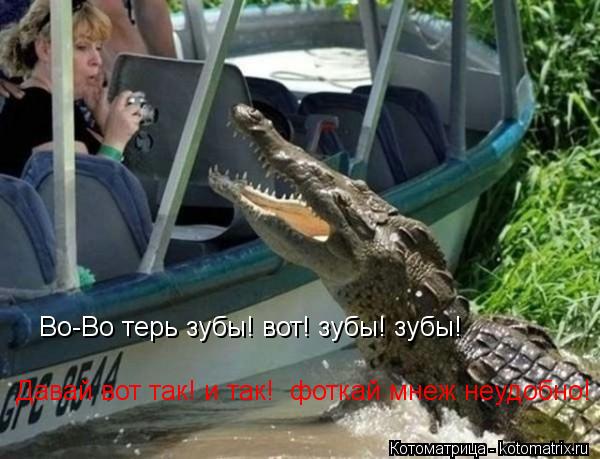 Во-Во терь зубы! вот! зубы! зубы! Давай вот так! и так! фоткай мнеж неудобно!... Котоматрица: Во-Во терь зубы! вот! зубы! зубы! Давай вот так! и так! фоткай мнеж неудобно!