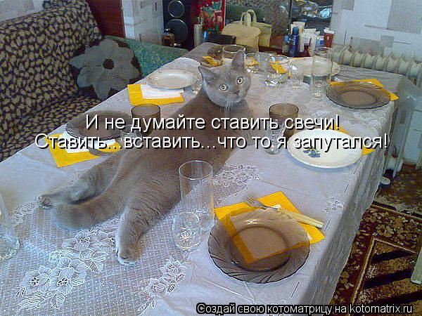 И не думайте ставить свечи! Ставить...вставить...что то я запутался!... Котоматрица: И не думайте ставить свечи! Ставить...вставить...что то я запутался!