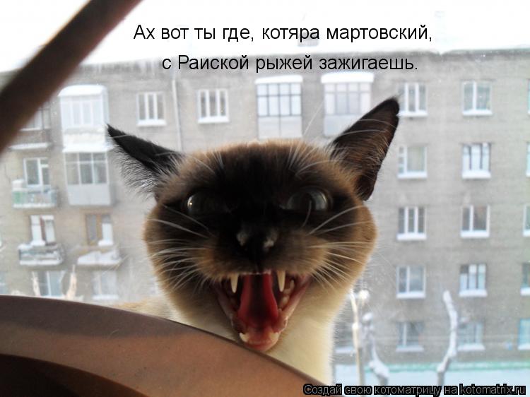 с Раиской рыжей зажигаешь. Ах вот ты где, котяра мартовский,... Котоматрица: с Раиской рыжей зажигаешь. Ах вот ты где, котяра мартовский,