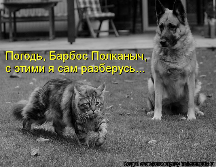 Погодь, Барбос Полканыч, с этими я сам разберусь...... Котоматрица: Погодь, Барбос Полканыч, с этими я сам разберусь...