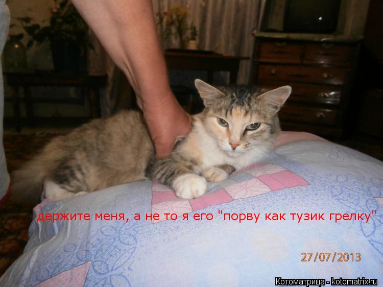 держите меня, а не то я его "порву как тузик грелку"... Котоматрица: держите меня, а не то я его "порву как тузик грелку"