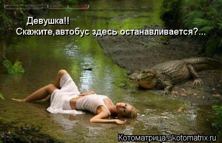 Девушка!! Скажите,автобус здесь останавливается?...... Котоматрица: Девушка!! Скажите,автобус здесь останавливается?...