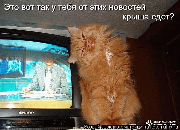 Это вот так у тебя от этих новостей крыша едет?... Котоматрица: Это вот так у тебя от этих новостей крыша едет?