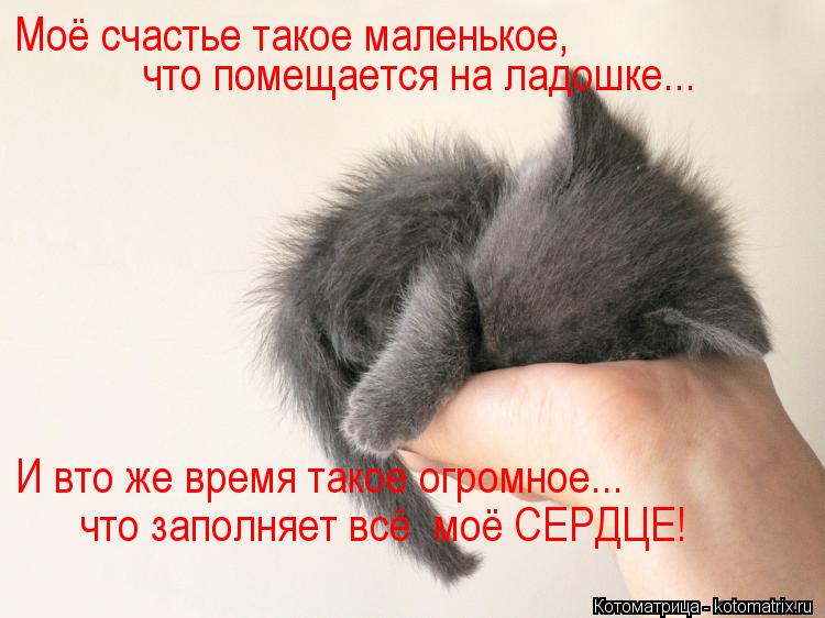 Моё счастье такое маленькое, что помещается на ладошке... И вто же время такое огромное... что заполн... Котоматрица: Моё счастье такое маленькое, что помещается на ладошке... И вто же время такое огромное... что заполняет всё моё СЕРДЦЕ!