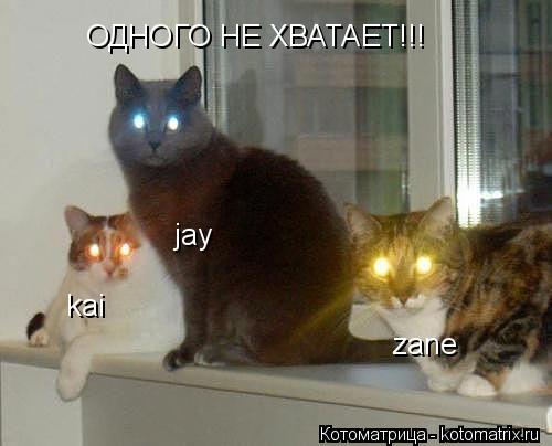 kai jay zane ОДНОГО НЕ ХВАТАЕТ!!!... Котоматрица: kai jay zane ОДНОГО НЕ ХВАТАЕТ!!!