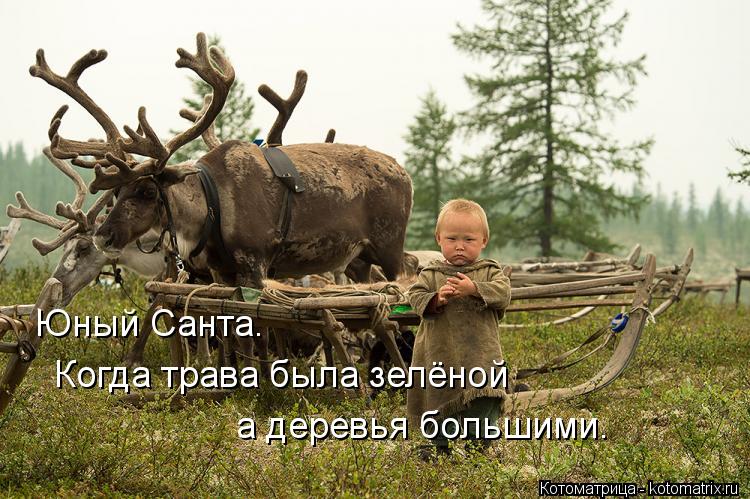 http://kotomatrix.ru/images/lolz/2013/08/01/kotomatritsa_qc.jpg